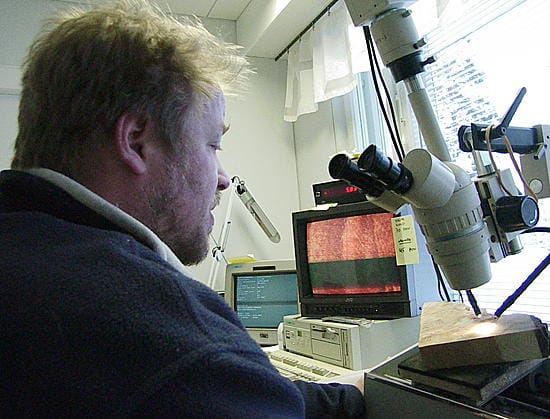 Metsätalousteknikko Hannu Herva työnsä äärellä Metlan Kolarin tutkimusyksikössä.