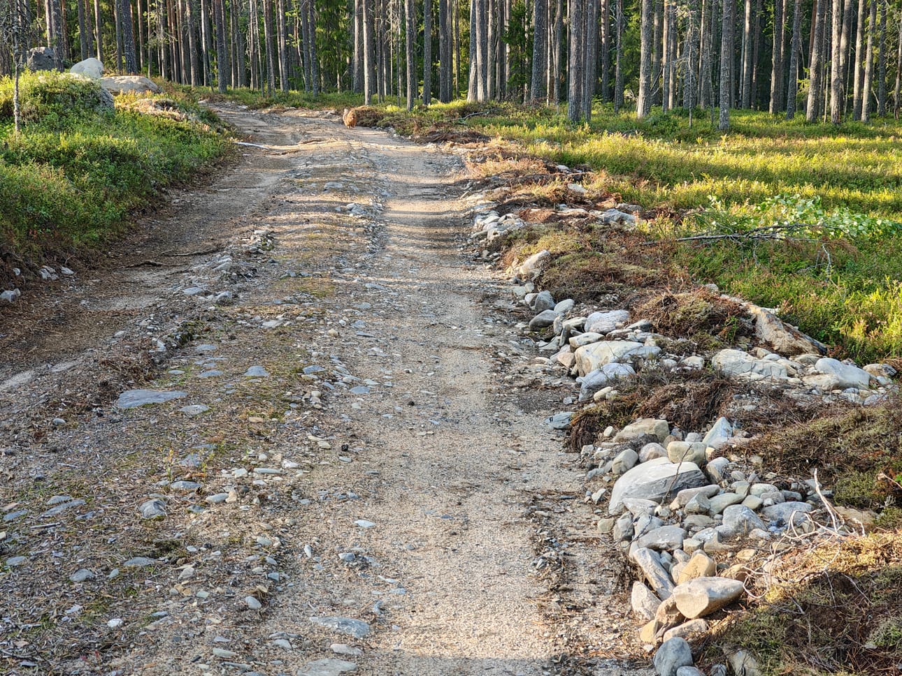 Isokankaalle kaivettu sähkökaapeli kulkee lähes koko matkaltaan metsäautotien varrella.