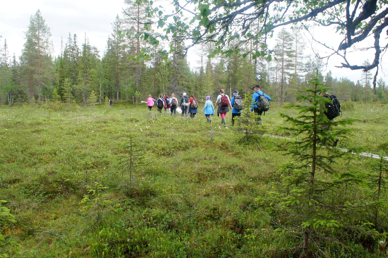 Retkeilijöitä Syötteen kansallispuistossa.