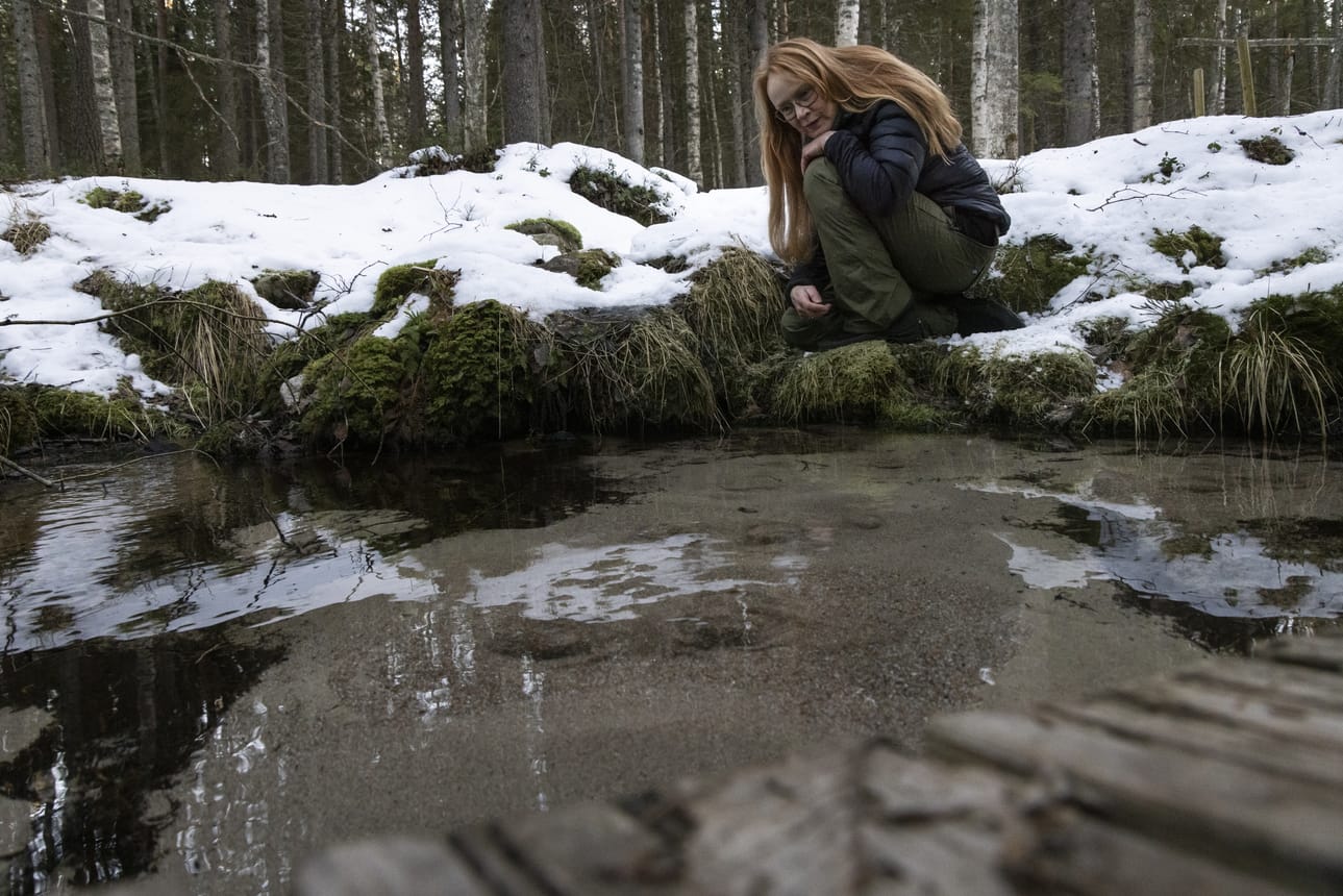 Valokuvaaja Teija Soini haluaa lähdekuvillaan näyttää ihmisille, kuinka tärkeitä, hienoja ja monimuotoisia elinympäristöjä pienvedet ovat.
