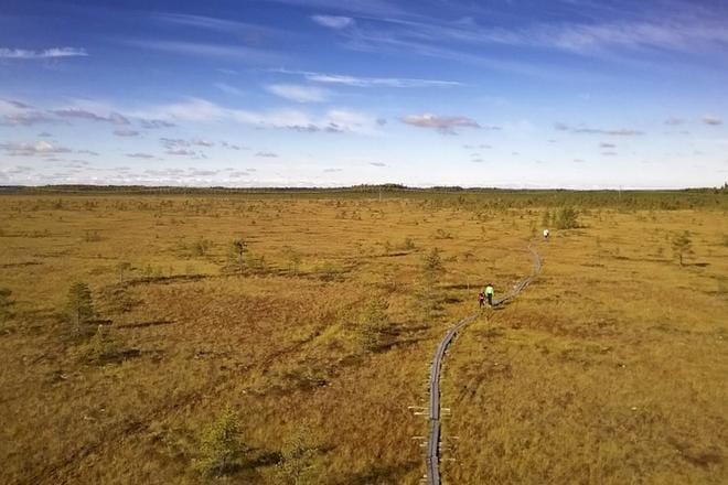 Paukanevalla kävijöiden toivotaan kiinnittävän entistä enemmän huomiota oman toimintansa alueelle mahdollisesti jättämiin jälkiin. Suojuoksun lisäksi alueella on mahdollisuus kulkea pitkospuureitillä. KUVA: PIA HUNNAKKO