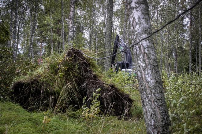 Myrsky vaurioitti ilmajohtoa Vaasassa vuonna 2020. Arkistokuva.