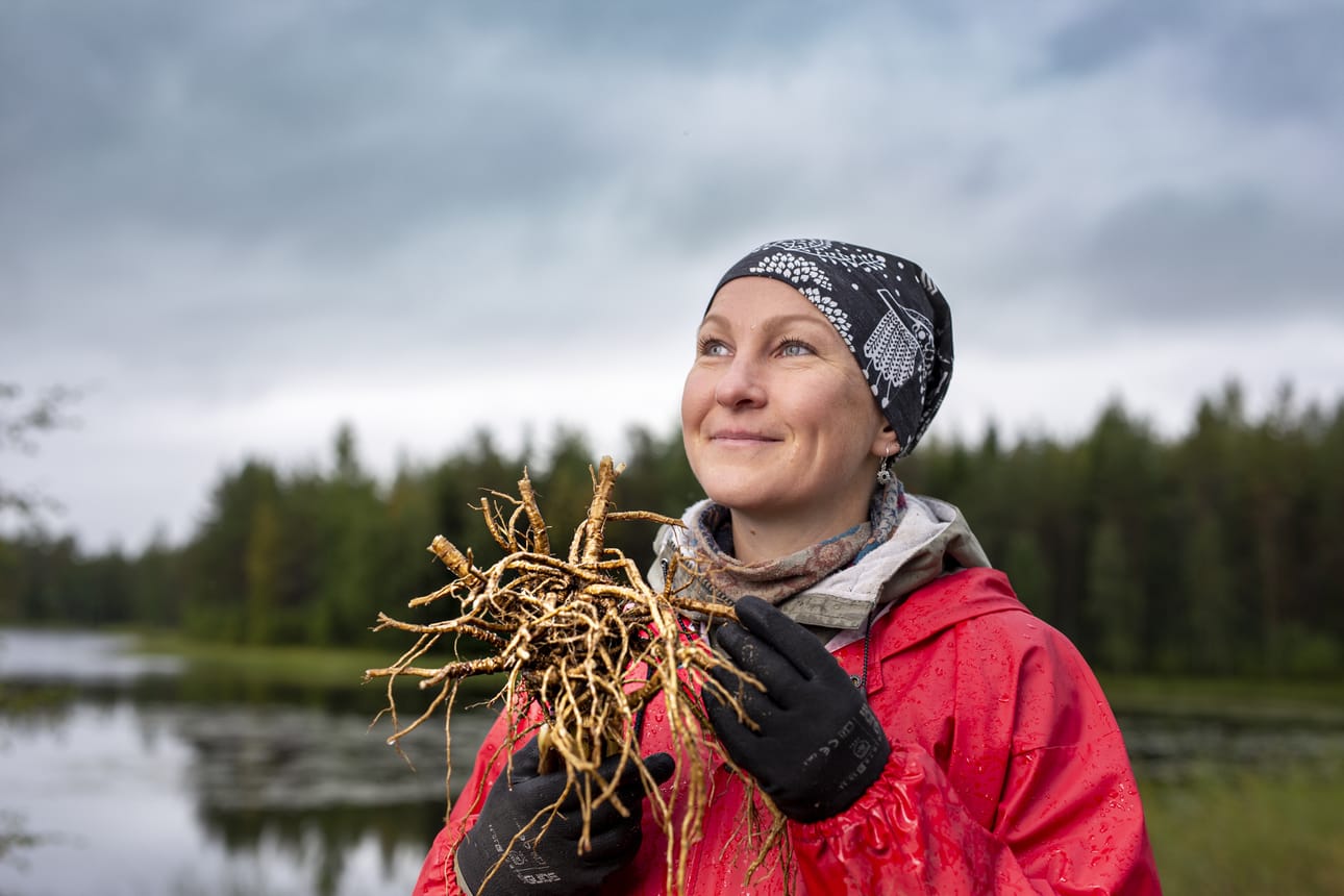 Kovaa kasvua hakenut Arctic Warriors päätti ottaa askeleen kohti suurta laittamalla yrityksen myyntiin. Tästä hetkestä vain viiden kuukauden jälkeen syntyi onnistunut omistajanvaihdos helsinkiläisen nokkoskombuchaa valmistavan Nokkos Co:n kanssa. Kuvassa Arctic Warriorsin perustaja, nykyinen tuotepäällikkö Katja Misikangas.