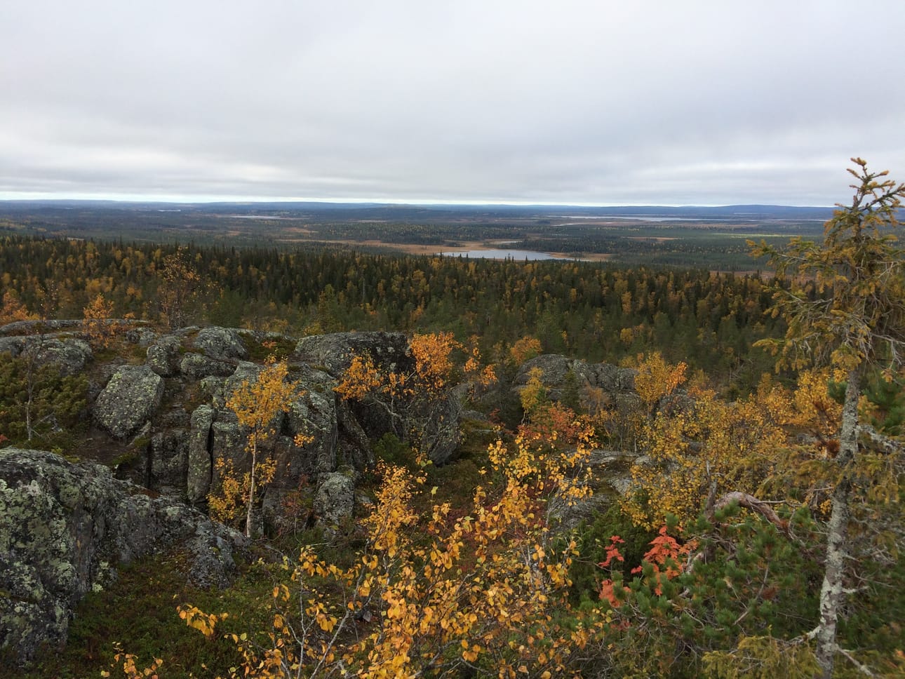 Kallioiselta Pyhityksen laelta avautuu komeat maisemat taivalkoskelaiseen luontoon.