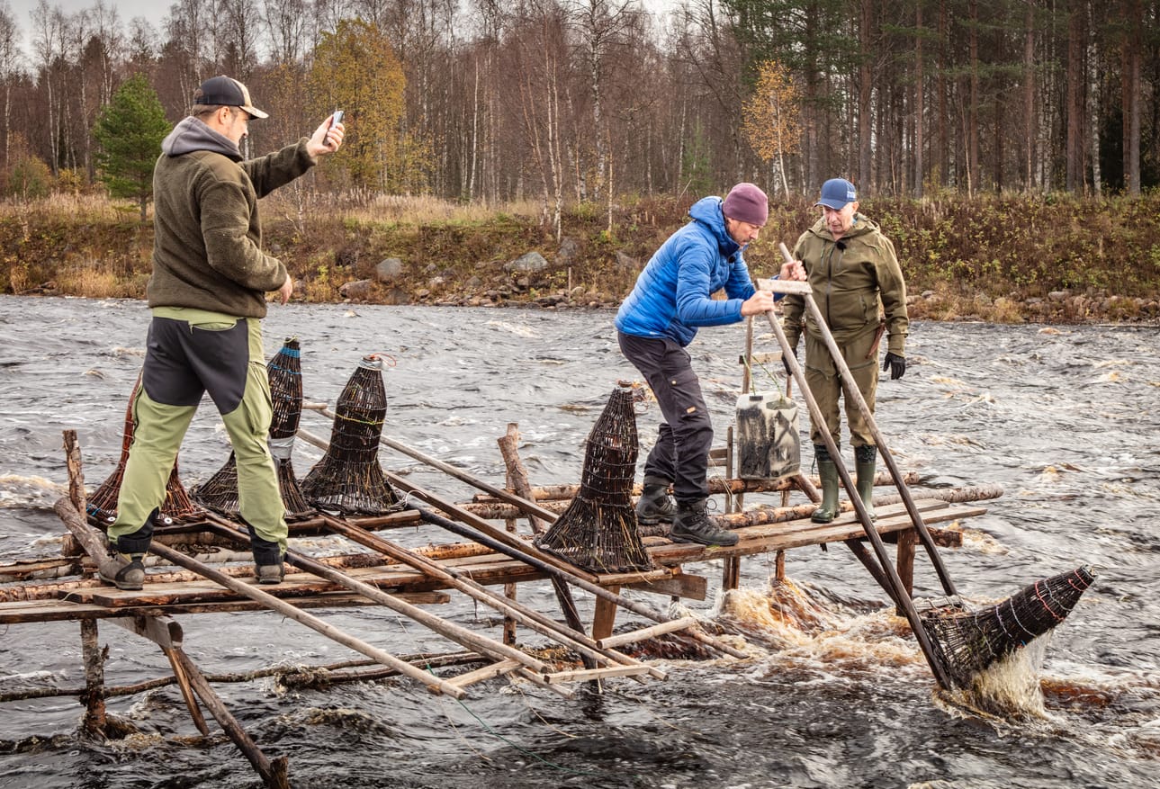 Mika Viitanen taltioi, kuinka Mikko ”Peltsi” Peltola huuhtelee nahkiaismertaa Juha Rytilahden opastuksella.