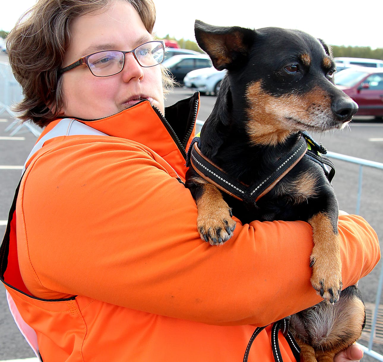 Kirsi Kotisaaren lancashire heeler Hilma löysi helposti kaksi tyttöä, jotka olivat piiloutuneet etsittävälle alueelle, vaikka yleisön paljous hiukan hämmensikin aluksi.