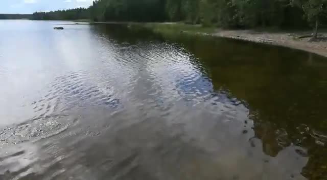 Olisihan se saanut onnistua - kala lähti karkuun