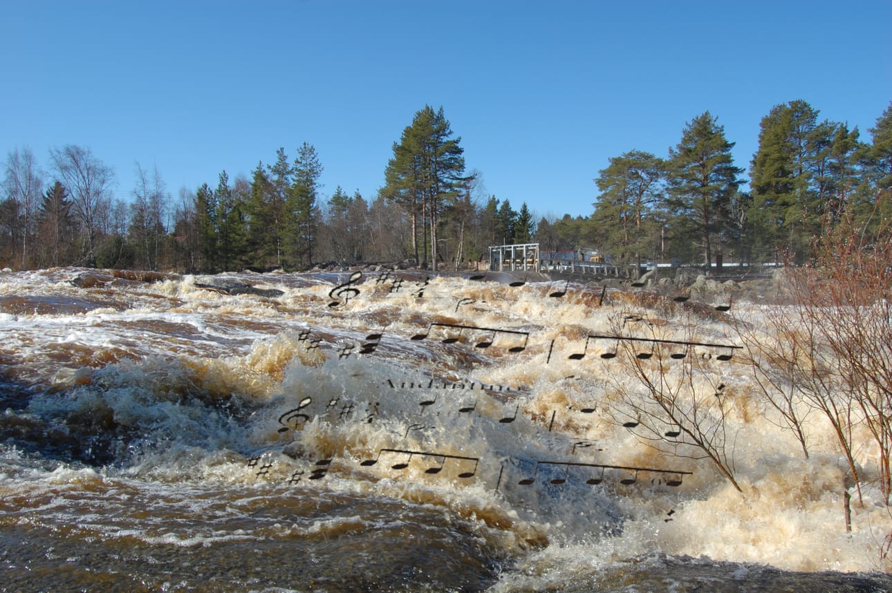 Soiva joki –tapahtuman tavoitteena on innostaa ihmisiä liikkumaan vesillä erilaisilla kulkuvälineillä: soutuveneillä, kanooteilla, kajakeilla tai sup-laudoilla – samalla saa vaikkapa musisoida.