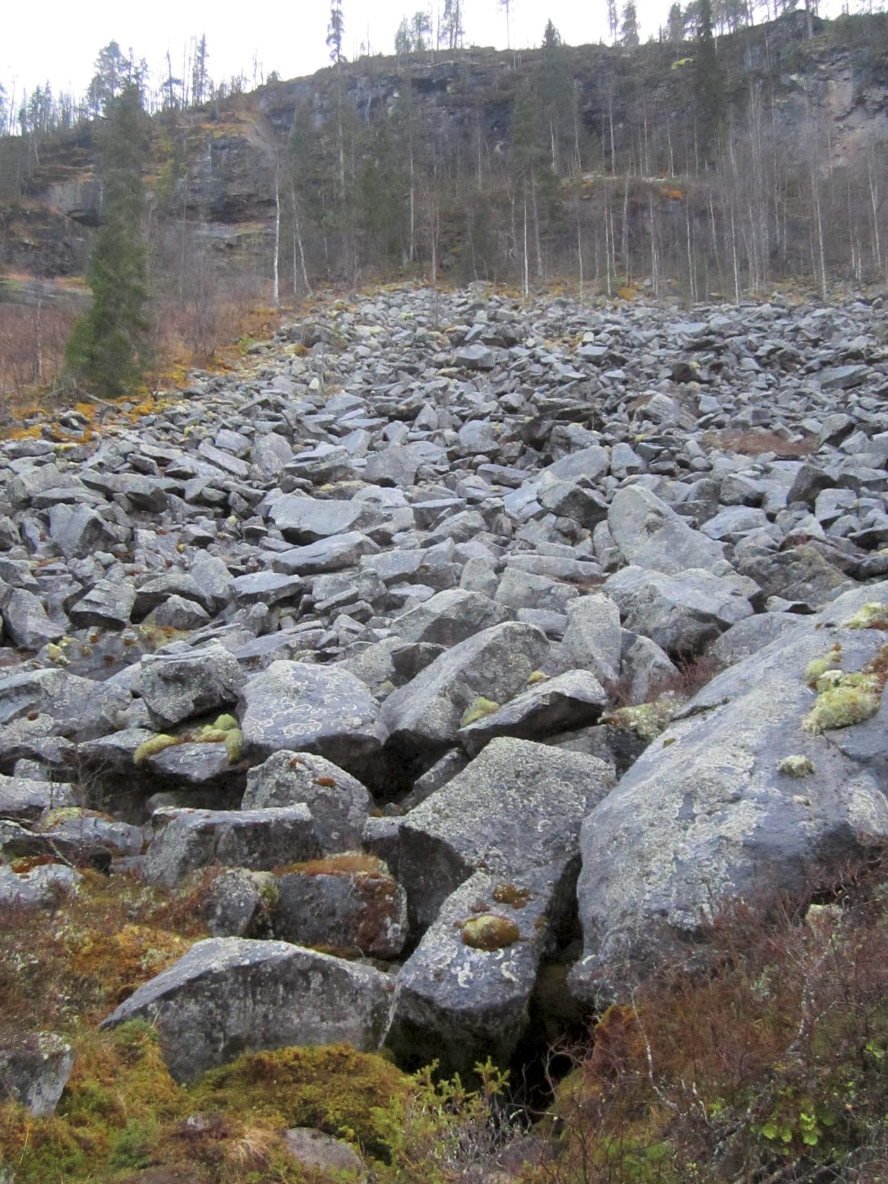Löytöpaikka on kuvassa kivilouhikon alaosassa mustassa aukossa. Ikijäähän on vain yksi suuaukko.