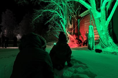 Kuvagalleria Metsä valtaa Piippolan uuden vuoden tapahtumasta