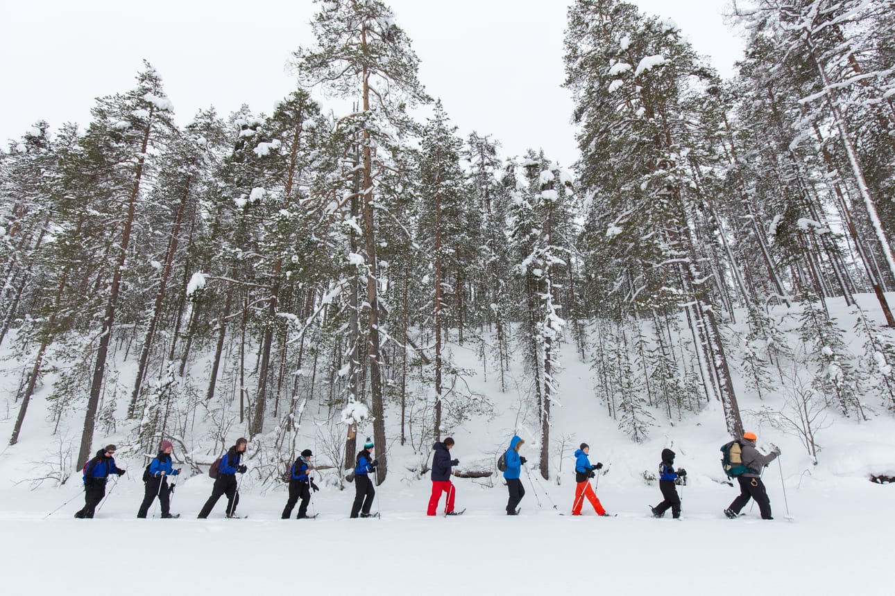 Syötteellä kävi liki 30 prosenttia aiempaa enemmän matkailijoita. Viime vuonna lähes 70.000 henkeä.