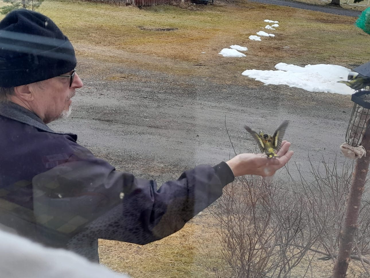 Täälläkin on vissiin evästä?