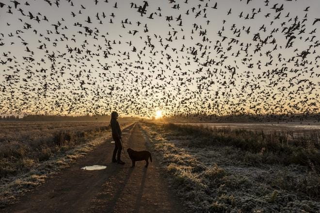 Luonto ja ihminen -sarjan voittajan kouvolalaisen Lassi Kujalan kuva Aamulenkillä.