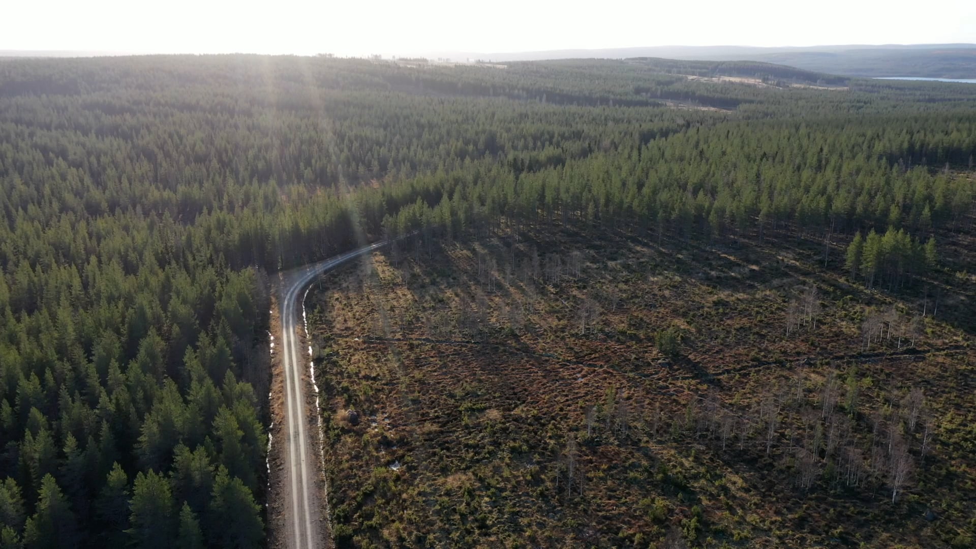 Osaran aukeat