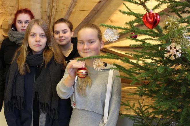Veera Muranen (vasemmalla), Ada Raivio, Alina Kuivila ja Mette-Mirella Foudila opiskelevat lukion väistötiloissa Tuomarniemellä, ja tottahan metsäalan koulutustakin tarjoavassa talossa on jo joulukuusi pystytettynä. KUVA: REIJO HEIKKILÄ