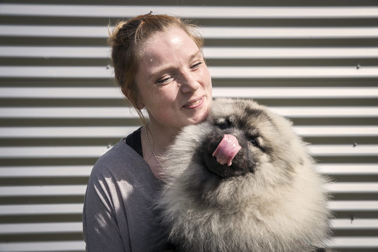 Sanna Rinnekankaan ja Leena Poussun omistama Lumi-keeshond on leikkisä kahdeksankuinen pentu. Vielä neljä kuukautta sitten sitä uhkasi lopettaminen puuttuvan asiakirjan takia.