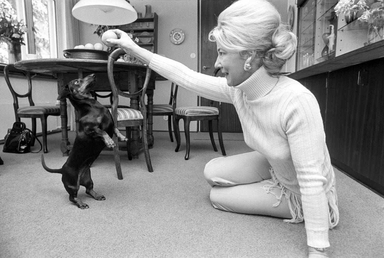 Eeva Joenpelto rakasti eläimiä etenkin koiria. Kuvassa Joenpelto marraskuussa 1970 Lauttasaaressa Julia-mäyräkoiransa kanssa.