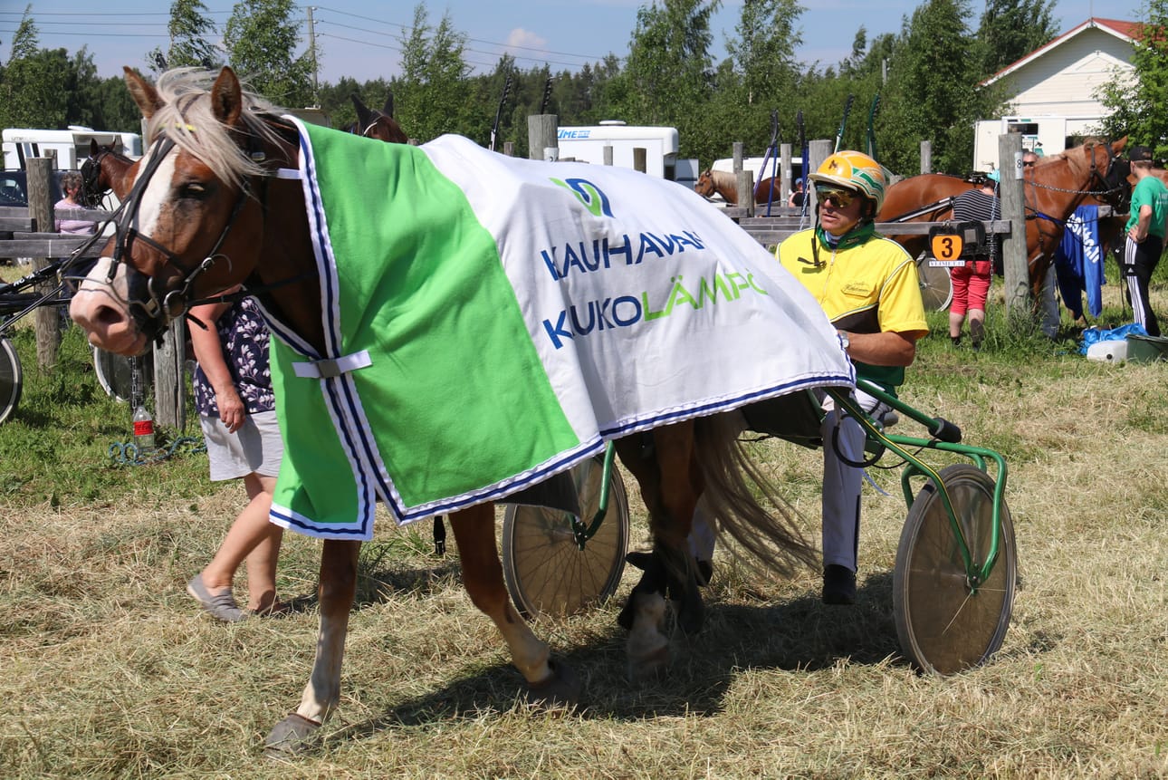 Sauli Hautanen kiritti kasvattamansa, omistamansa, valmentamansa ja ohjastamansa Soliseen ykkössijalle edellisen kerran Kauhavan juhannusraveissa kuukausi sitten.