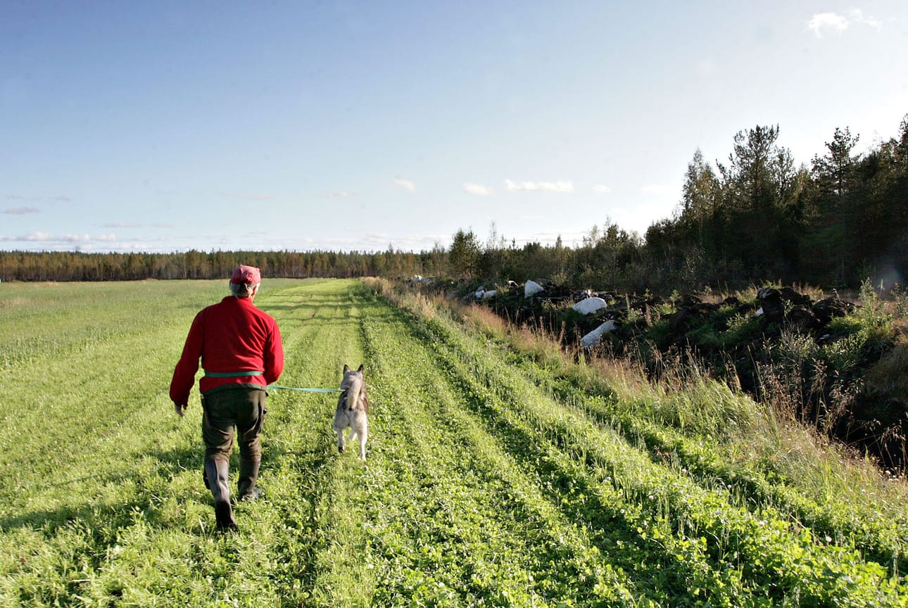 Oulun alueelle myönnettiin viisi karhulupaa. Kainuuseen karhulupia tuli 16 kappaletta.