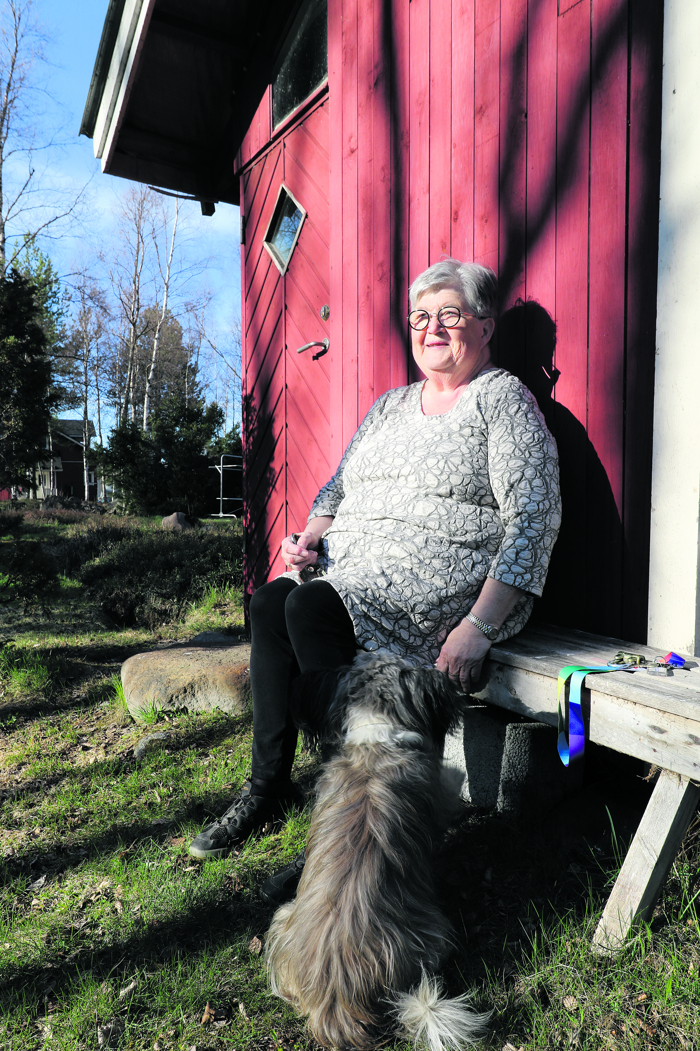 Iina-koira käyttää vapaahetket hyväkseen. Hän pyytä emännältään rapsutusta tämän istuttua penkille.