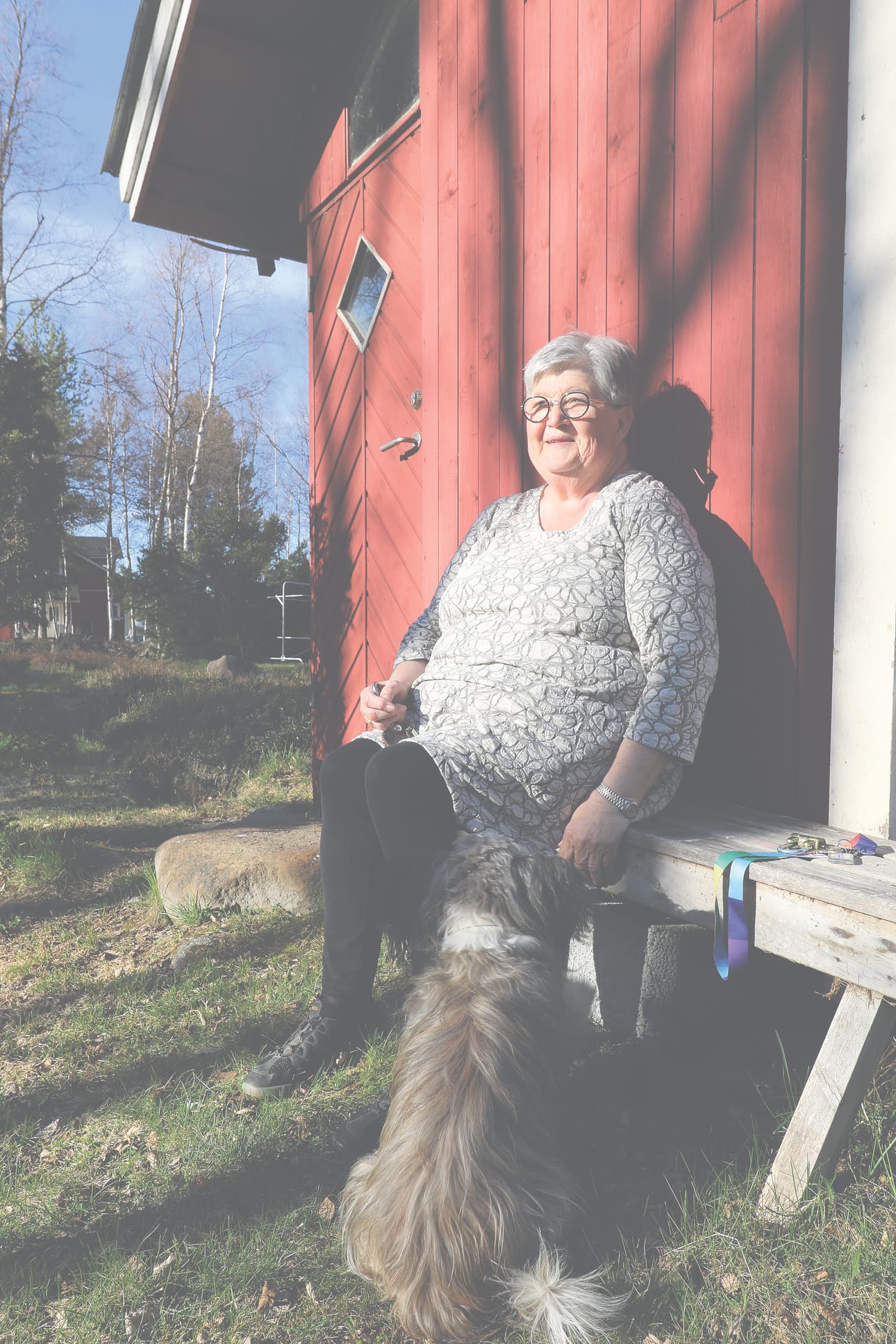 Iina-koira käyttää vapaahetket hyväkseen. Hän pyytä emännältään rapsutusta tämän istuttua penkille.