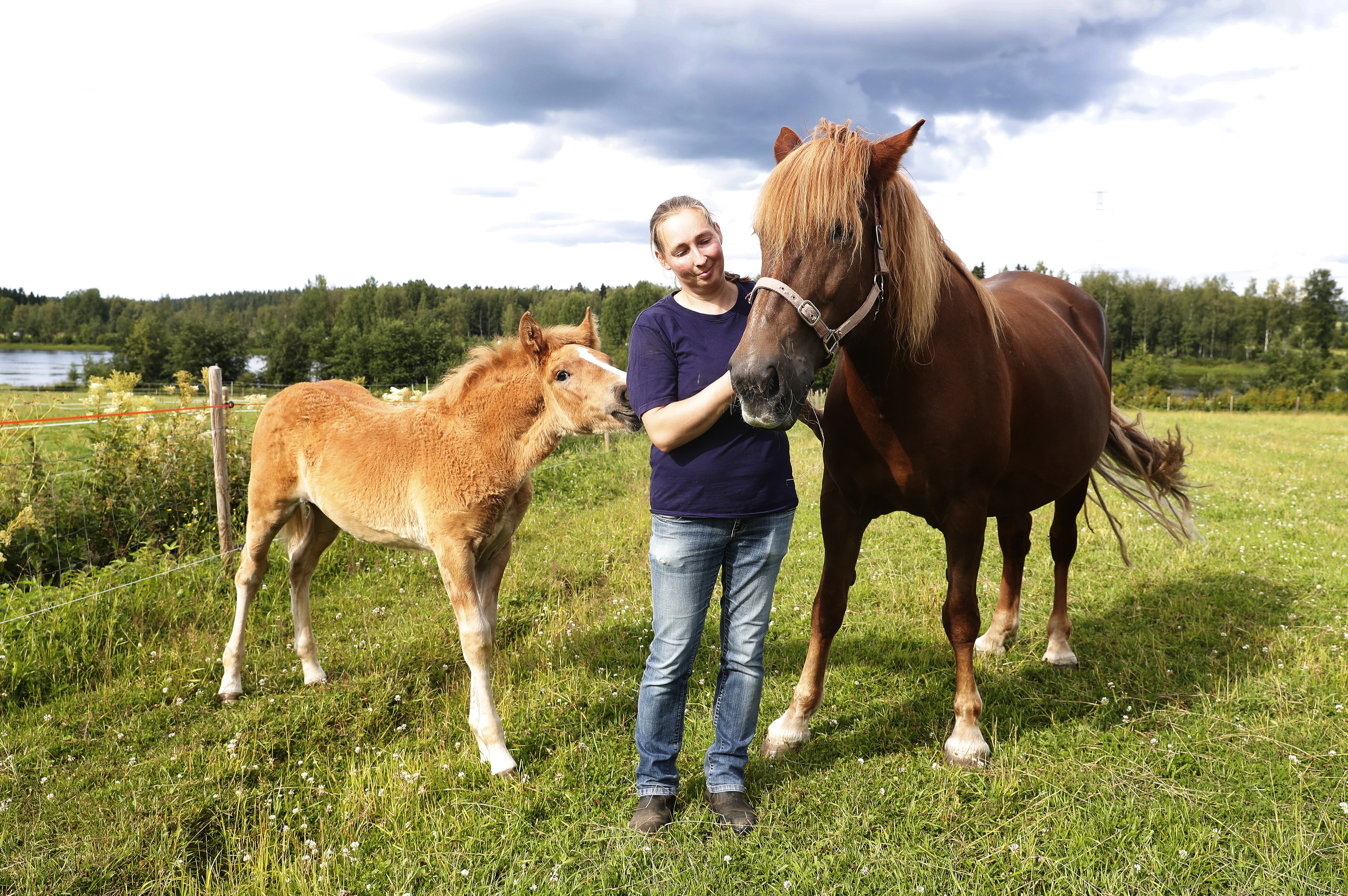 Suomenhevosvarsa Super-Simo on omistajansa Johanna Kurtin mukaan hyvin eläväinen ja aktiivinen oripoika. Emä Lai Lai on ollut varsan suhteen "vähän liiankin kärsivällinen", Kurtti kertoo. 