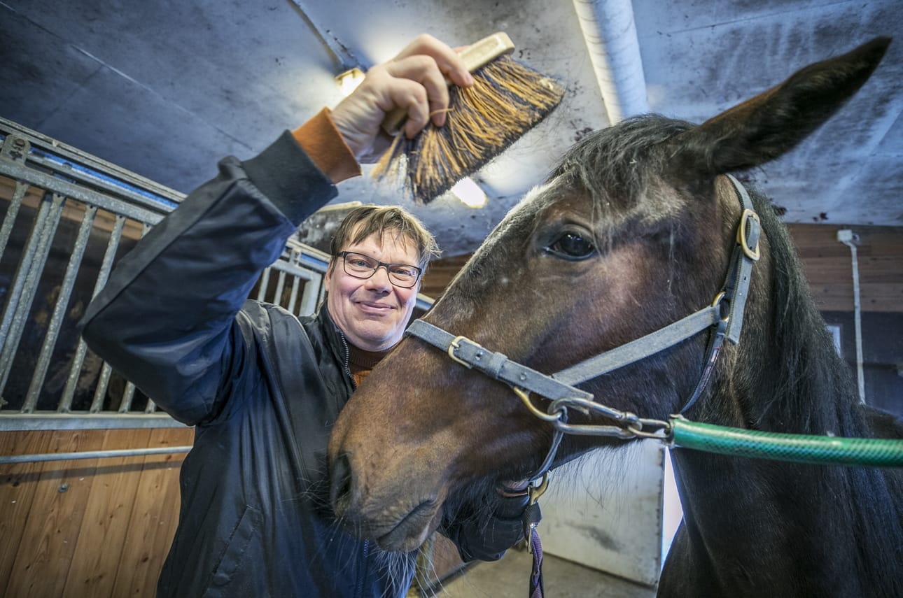 Päivänsankari Timo Niemelä pääsi kuvaan 2-vuotiaan tamma Citadella Evon kanssa.
