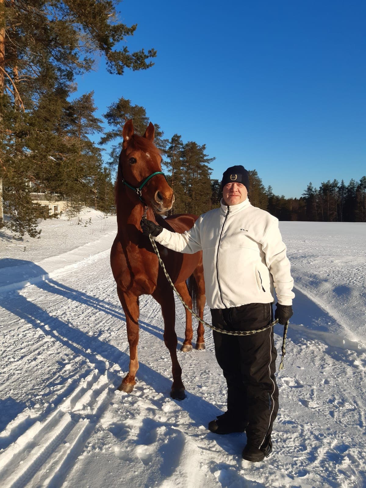 Hevosmies Hyvärinen sai eväät elämälleen ravilegendojen tyyssijasta Heinäpäästä