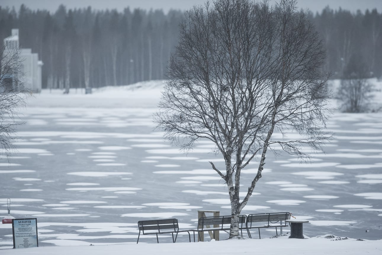 Tammikuun lämpötila pysyi pääsääntöisesti pikkupakkasella. Raahessa elohopea kulki +3,5 asteen ja -22 asteen välillä.