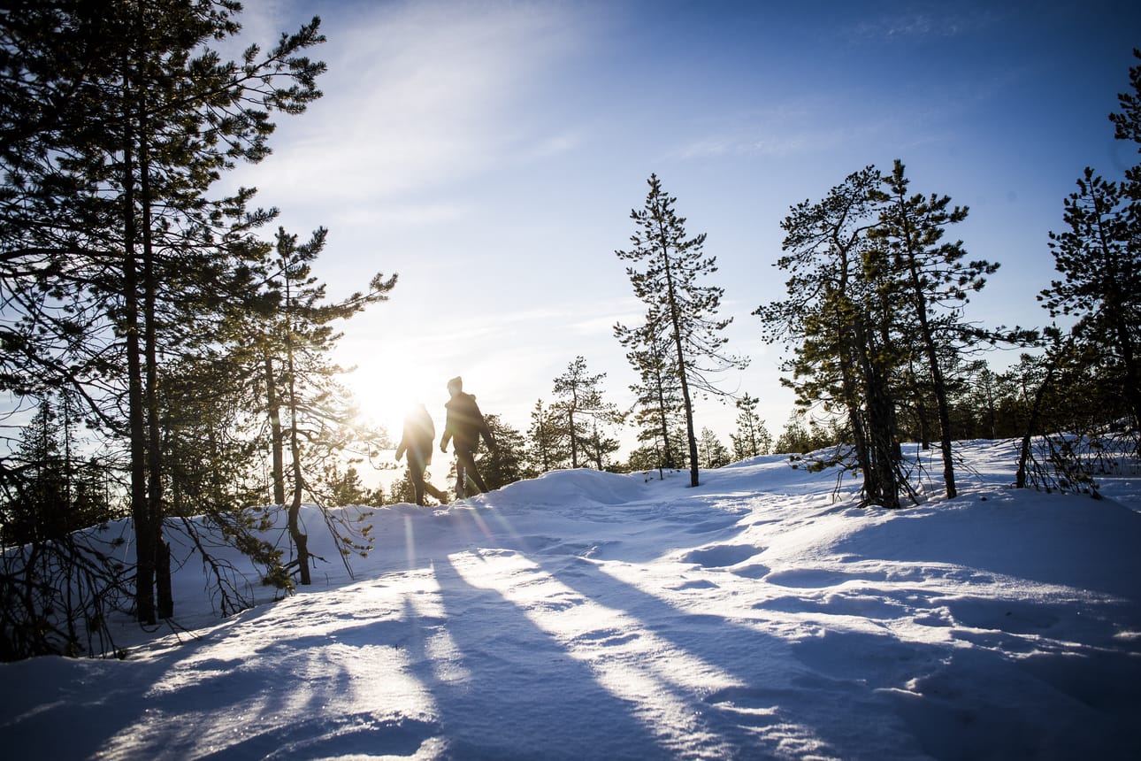 Helmikuu loppui aurinkoisena.