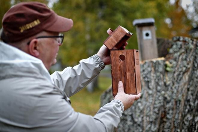 Martti Koskenkorva aikoo laittaa petsatusta mäntylevystä tehdyn harvinaisen kossupöntön puuhun ensi keväänä. Lahjapakkauksen sisälle on tähän mennessä pesiytynut Koskenkorva Vodkan erikoistuotepullo. KUVA: TOMI KOSONEN
