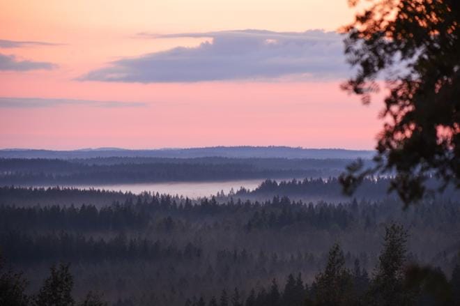 Matosuo. KUVA:AARRE LÖYTÖMÄKI