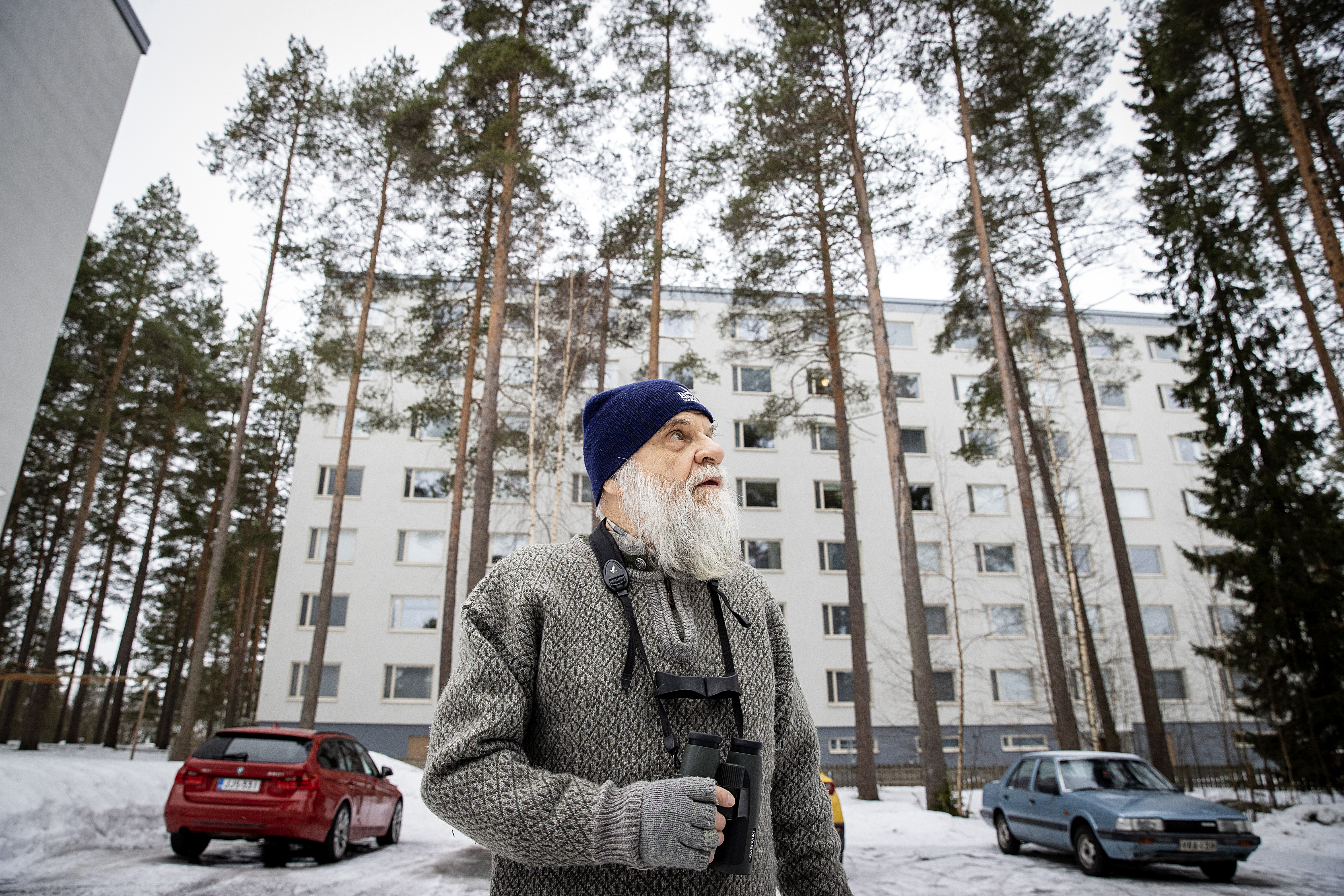 Pihabongaus kertoo muutoksista – Hömötiaiset ja varpuset vähenevät Pohjois-Pohjanmaan pihoilla, mustarastaat runsastuvat