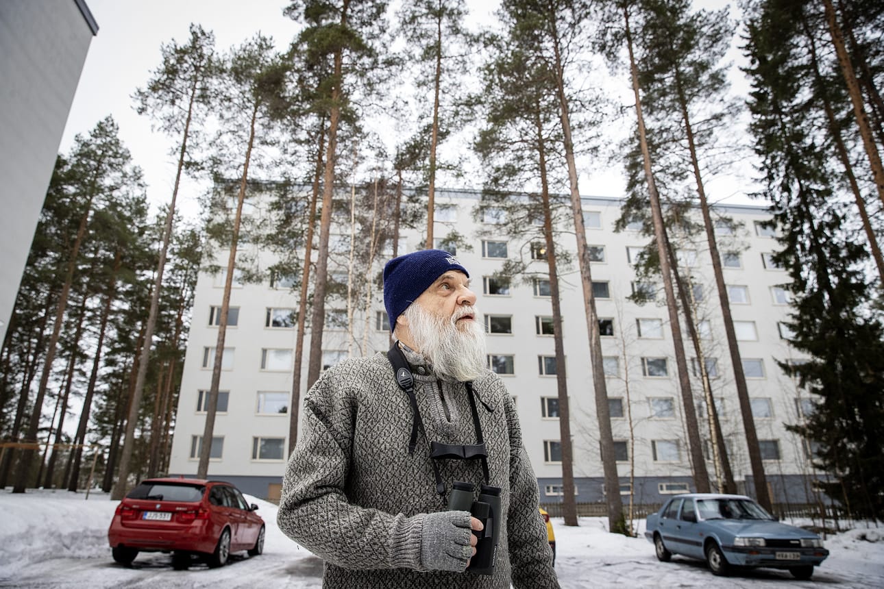Pihabongaus on järjestetty 18 kertaa. Mikko Ojanen on useimpina vuosina osallistunut tapahtumaan kahdella pihalla.