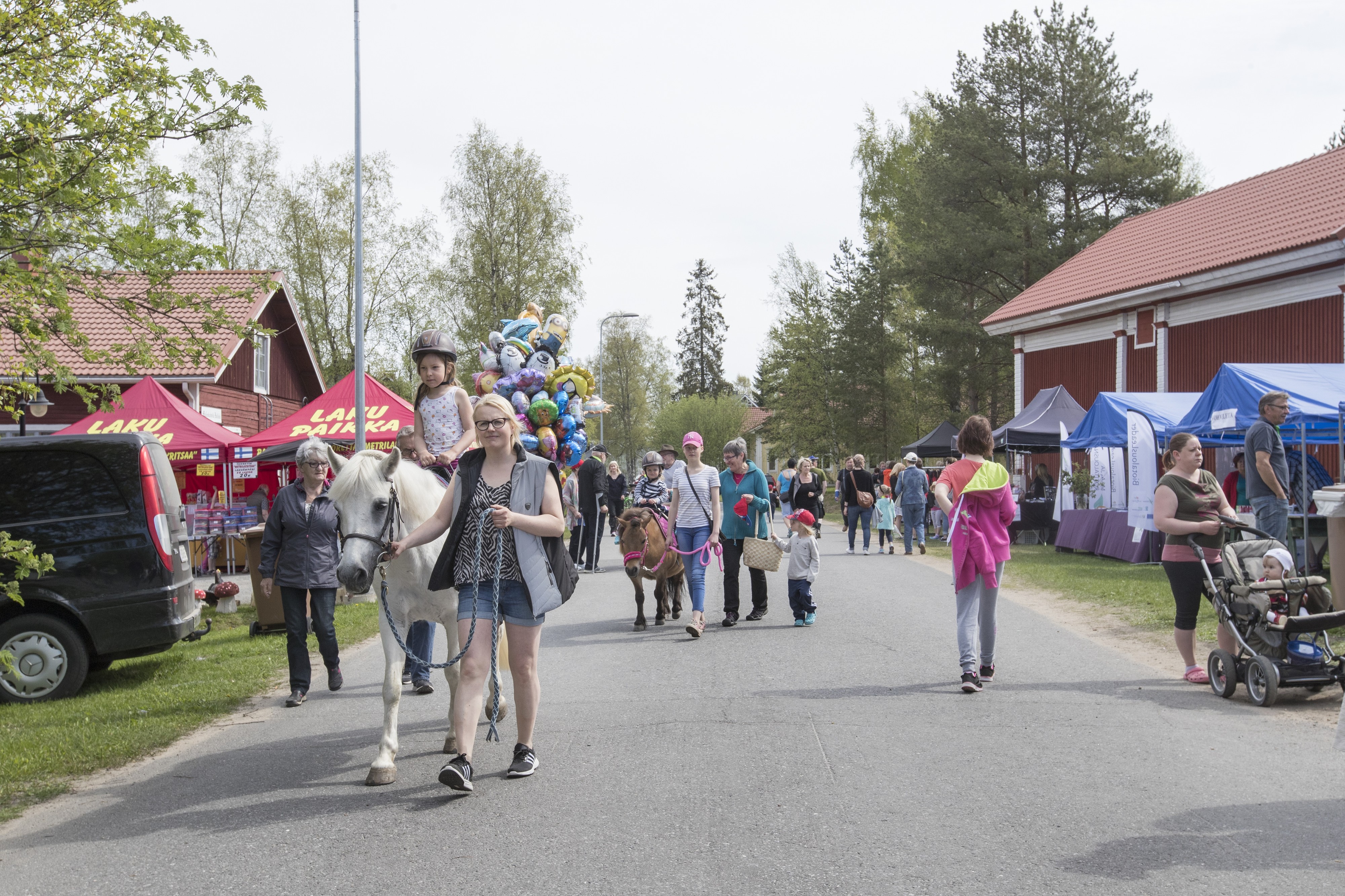 Lohikalastuksen uudet rajoitteet puhuttivat Iin kala- ja maalaismarkkinoilla.