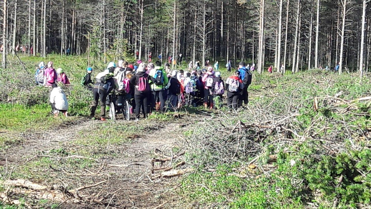 Ala- ja yläkoulujen oppilaat pääsivät tutustumaan metsään 4H-yhdistyksen avulla.