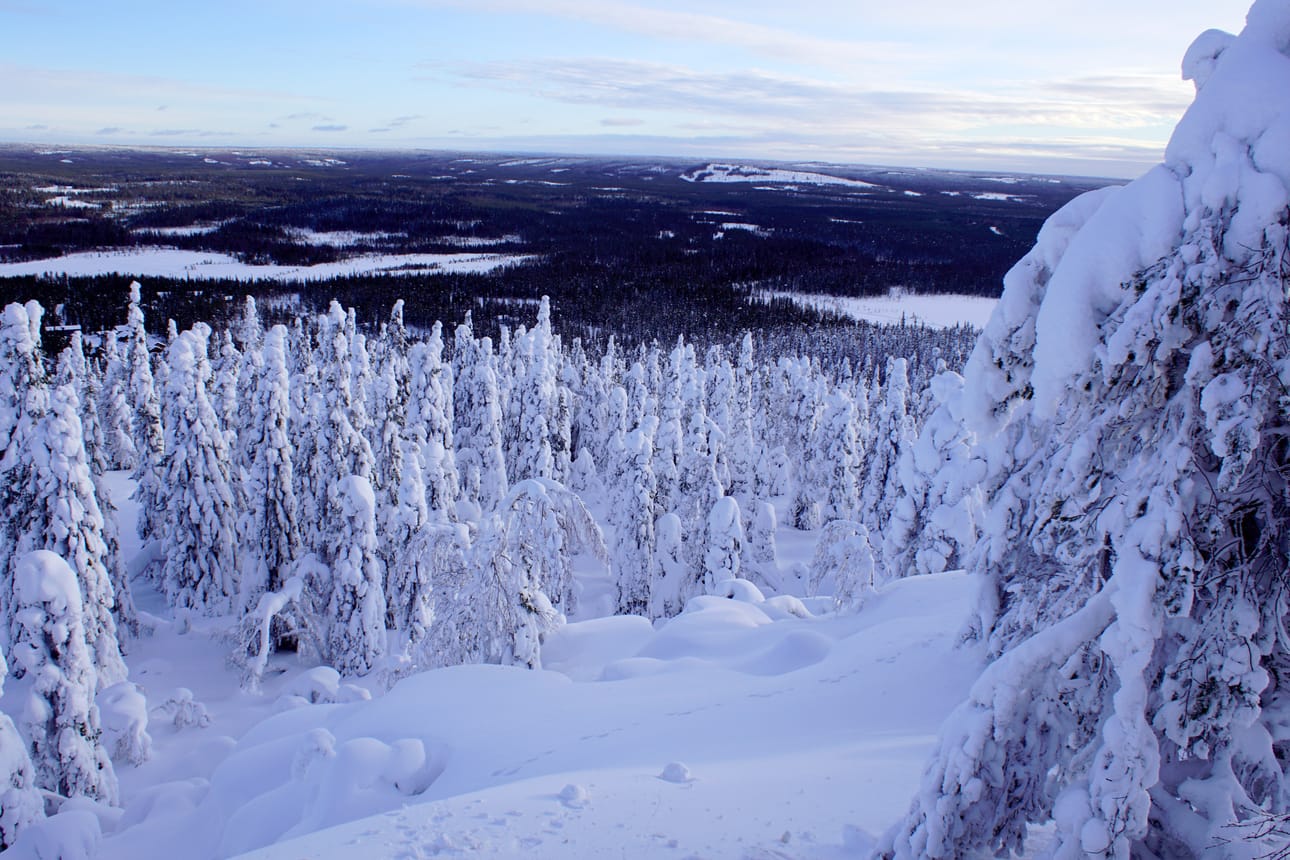 Pudasjärvellä riittää lunta, siitä nauttimaan pääsee vaikkapa Syötteen rinteillä.