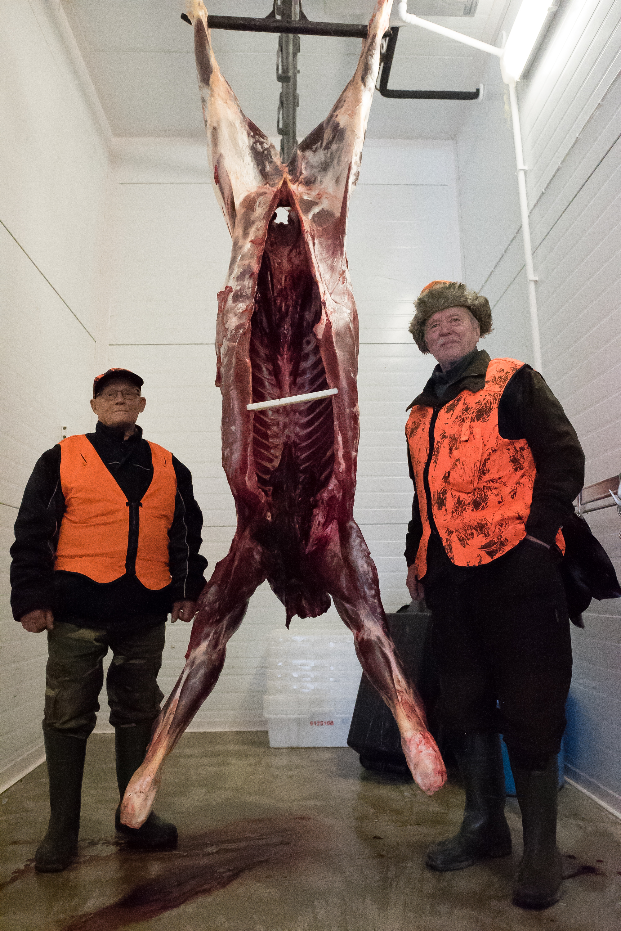 Heimo Marsch (vas.) ja Jorma Tauriainen sekä Marschin ampuma peltohirvi.