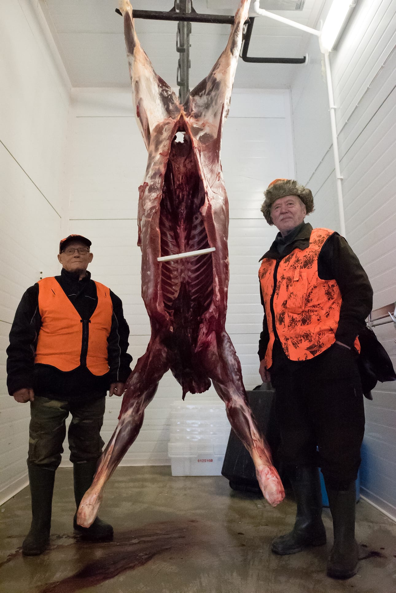 Heimo Marsch (vas.) ja Jorma Tauriainen sekä Marschin ampuma peltohirvi.