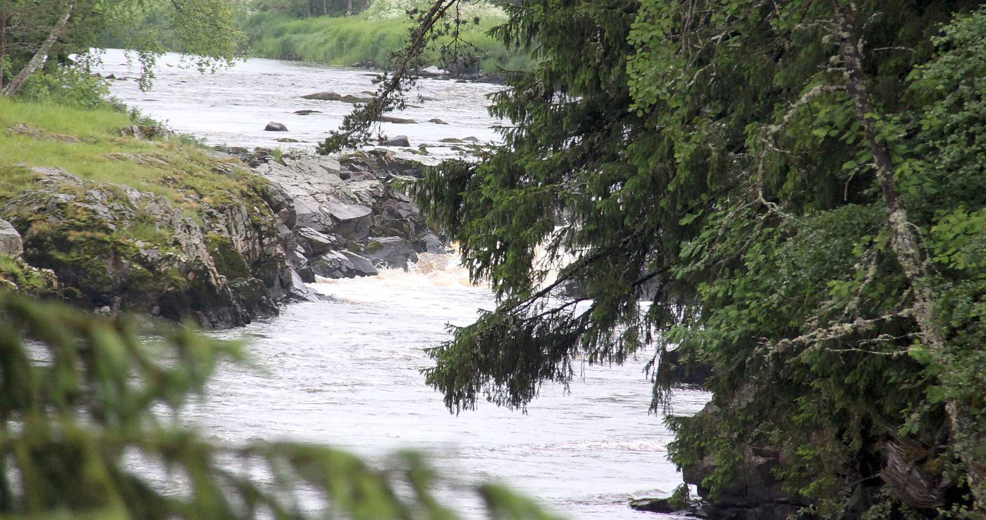 Syyssateet näkyvät: Vesisateet nostaneet virtaamia joessa
