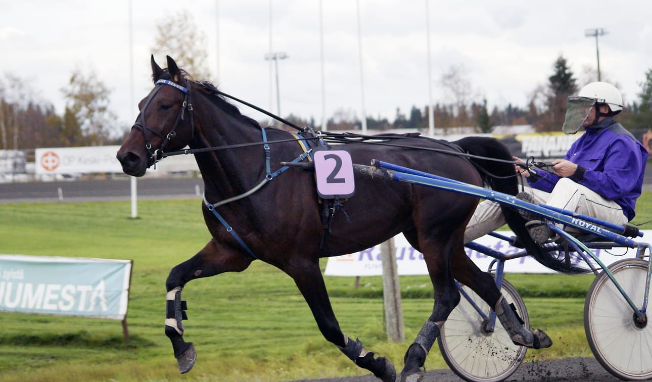 Ari Raution ohjastama ja Riikka Finnin valmentama Lex Loyalty oli ryhmässään neljäs vaikeista lähtöasemista.