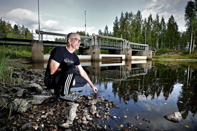 – Harjukset ovat kalastajille arvokkaita kaloja, sillä niitä löytyy täällä paljon vähemmän kuin esimerkiksi kirjolohta, Rinnankoski kertoo. KUVA: TOMI KOSONEN