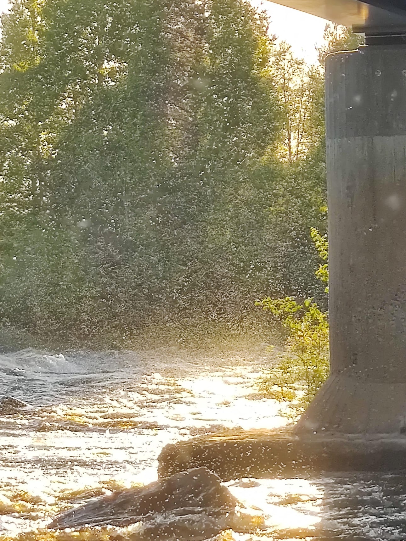 Iijoen Kipinänkoskella ilma oli mustanaan mäkäräisiä.