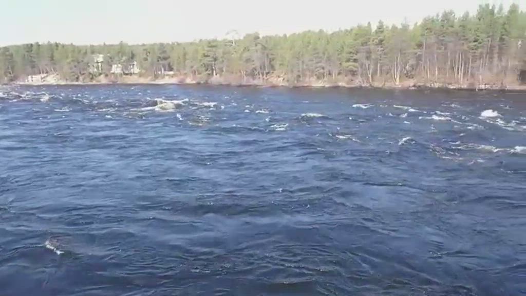 Juutuajoen tulva