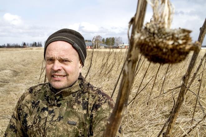 Kainastolainen Juhani Toivakka on yksi Kauhajoen asiantuntevista riistapeltojen perustajista ja ylläpitäjistä. Kainastolaisten metsästäjien kökkätyön määrä vuosikausien ajalta on hirmuinen. KUVA: JARI E. HAKALA