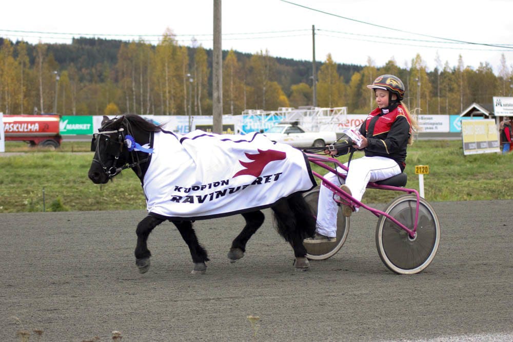 Sara Niskala sekä valmentaa että ohjastaa Lamujoen Perhekodin omistamaa Dalsgårds Lucky Lukea. Aisaparin keskinäinen kemia on toiminut hyvin ja ennätyksiä on parannettu kerta kerran jälkeen.