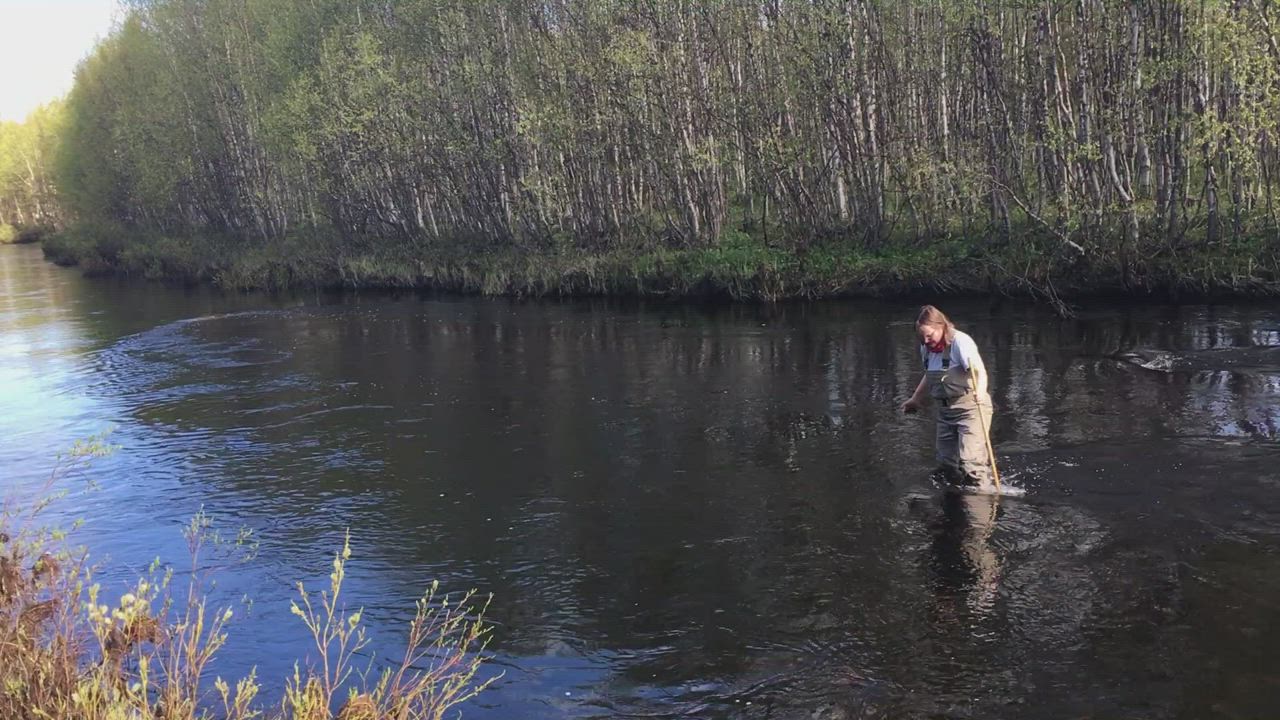 Kivinäyte