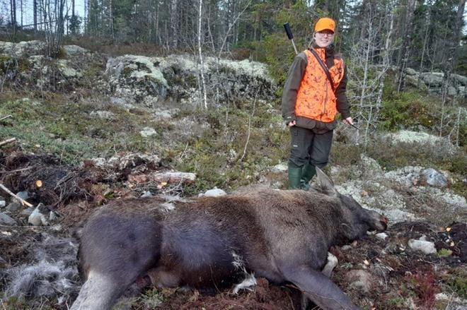 Anni Mertaniemen ensimmäinen hirvijahti toi emälehmän ja vasan kaadon. KUVA: METSÄSTYSSEURA