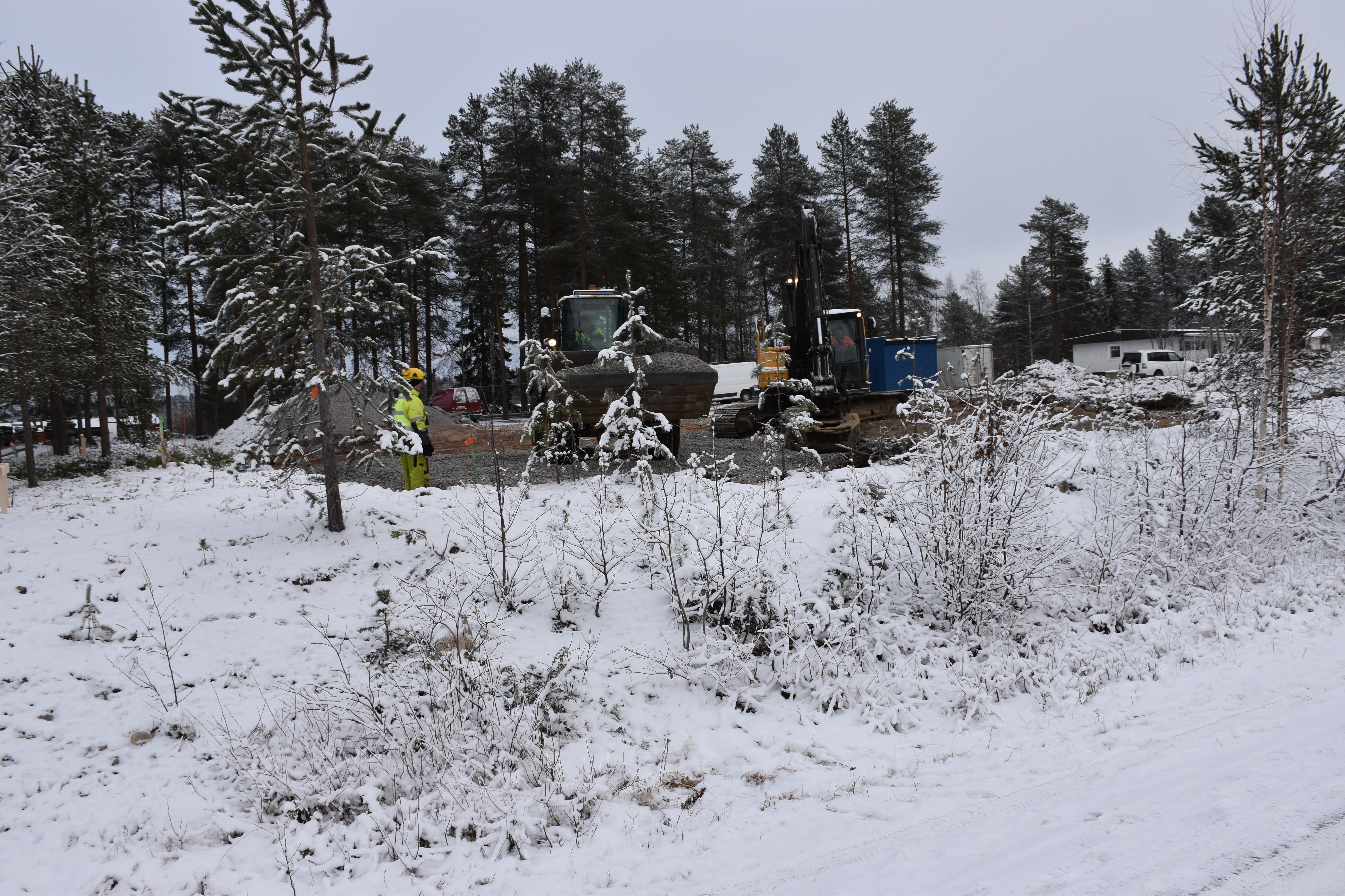 Uuden rivitalon paikalta hävisi puistometsikkö.