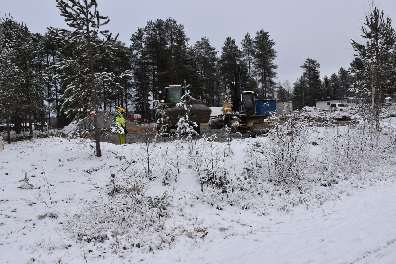 Uuden rivitalon paikalta hävisi puistometsikkö.